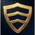 Gold Security Corporation logo