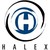 Halex Technology Consulting Inc. logo