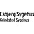 Esbjerg Sygehus & Grindsted Sygehus logo