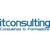 Itconsulting logo
