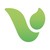 Vertas Group Limited logo