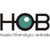 Hospital oftalmológico de Brasília HOB logo