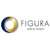 FIGURA AUDIT & CONSEILS logo