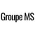 Groupe MS logo