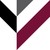 Petauri logo