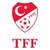 Türkiye Futbol Federasyonu logo