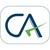 Chartered Accountant logo