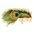 JAGANNATH COMPANY logo
