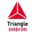 Triangle Interim logo