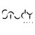 STUDY RAIL logo