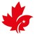 Canadian International School of Hong Kong logo