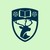 School of Healthcare Enterprise and Innovation, University of Southampton logo