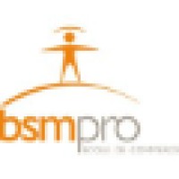 BSM Pro logo