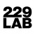 229 LAB logo