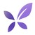 DXY logo