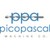 PicoPascal Co. logo