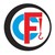 Fiault Industrie logo
