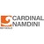 Cardinal Namdini Mining Ltd. (A Shandong Gold Company) logo