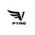 PyroEquity logo