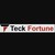 TeckFortune Inc logo