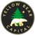 Yellow Bear Capital logo
