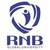 RNB Global University logo