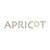 Apricot Clothing logo