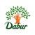 Dabur International Ltd logo