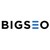 BIGSEO logo