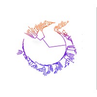 Napellus logo