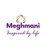 MEGHMANI LIFESCIENCES LTD logo