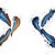 Euriscient Ltd logo