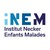 INEM - Institut Necker Enfants Malades logo