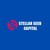 Stellar Seed Capital logo