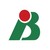 Grupo Benassi Rio logo