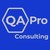 QA Pro Consulting logo