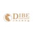 DIBE HISPANIA, SL logo