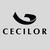 CECILOR, 40 ans dans la valorisation des déchets précieux logo