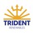 Trident Renewables logo