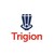 Trigion logo