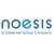 Noesis Solutions logo