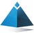 Preferred Insurance Services, Inc. logo