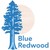 Blue Redwood logo
