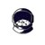 Slash Mark IT Solutions (OPC) Pvt. Ltd logo