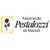 Associação Pestalozzi de Maceió logo