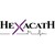 Hexacath logo