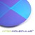Intermolecular logo