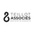 Teillot & Associés logo