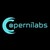 Copernilabs logo