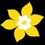 Canadian Cancer Society logo